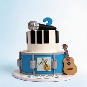 DRUM PIANO MIC GUITAR
