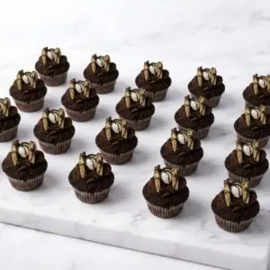 SMORES